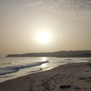 Hatha-Yoga-Online (abends) – ab 11. September